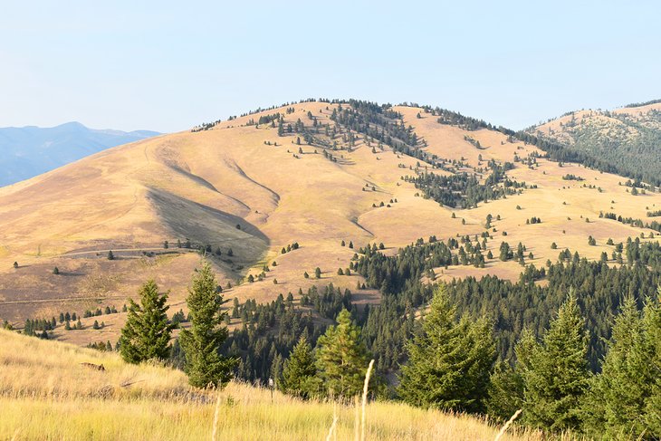 View of Mount Sentinel's southside from Barmeyer