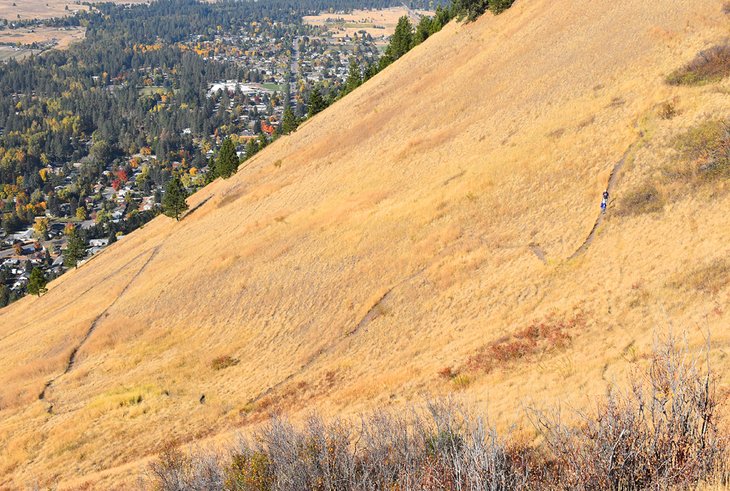 The "L" Trail on Mount Jumbo