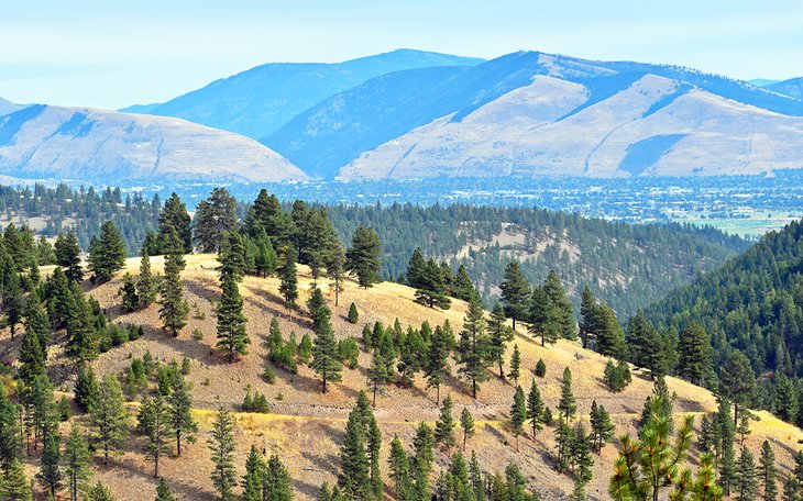 O'Brien Creek Trail