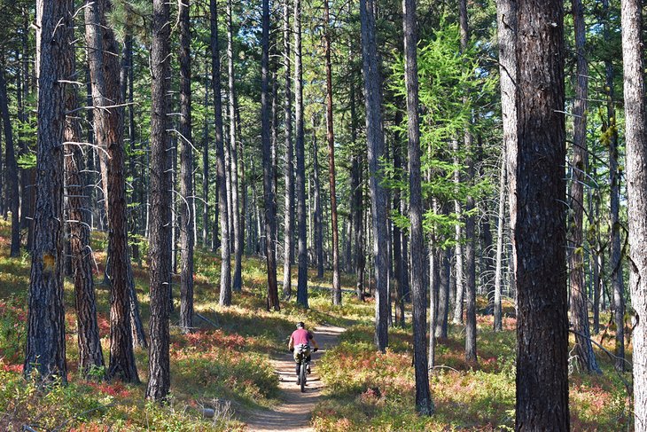 Sam Braxton National Recreation Trail