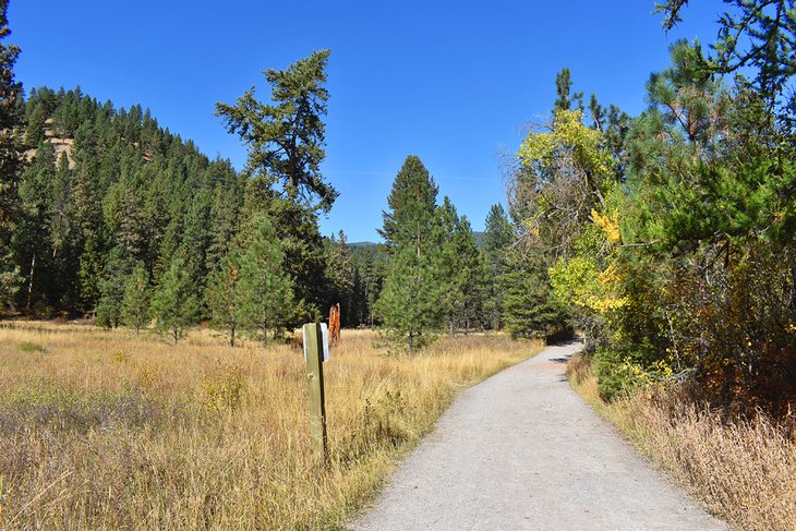 Trail through the Rattlesnake National Recreation Area