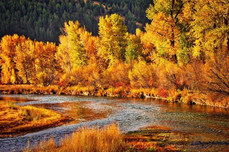 The Clark Fork River has excellent fall fly fishing