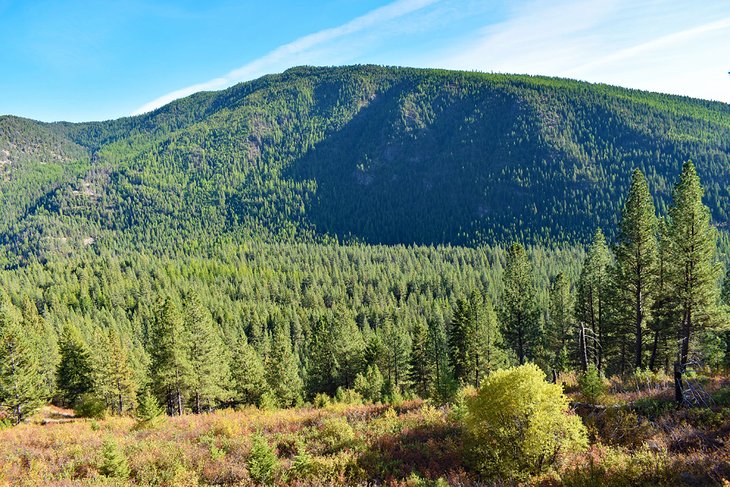 Rattlesnake National Recreation Area