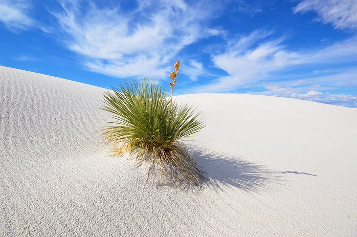 White Sands National Park