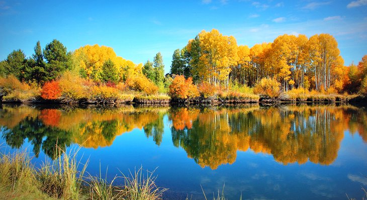 Fall colors near Bend