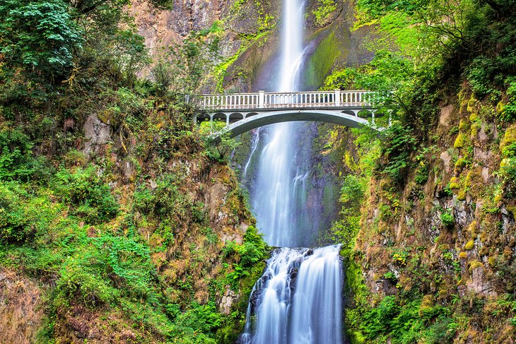 Multnomah Falls in the Columbia River Gorge