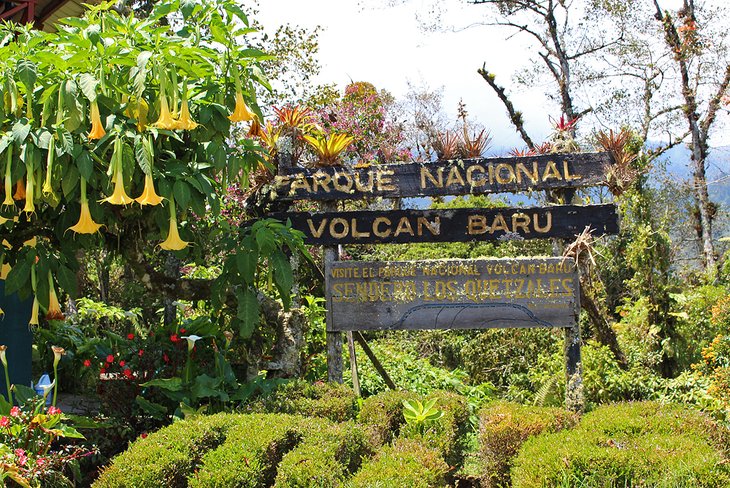 Parque Nacional Volcan Baru near Boquete