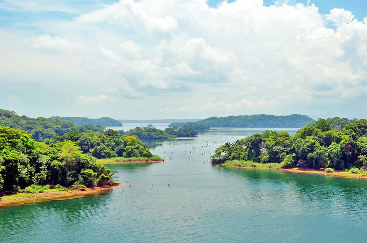 Gatun Lake in Parque Nacional Soberania