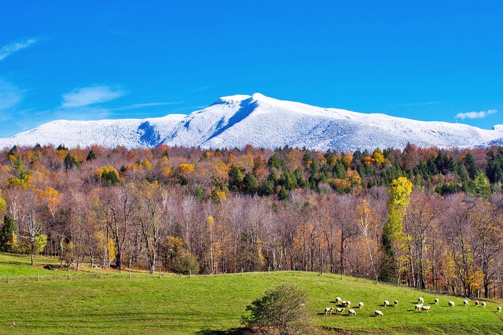 16 atracciones y lugares para visitar mejor calificados en Vermont