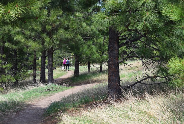 Antoine Peak Conservation Area