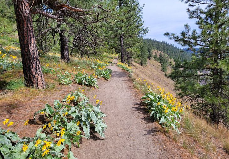 High Drive Bluff Park