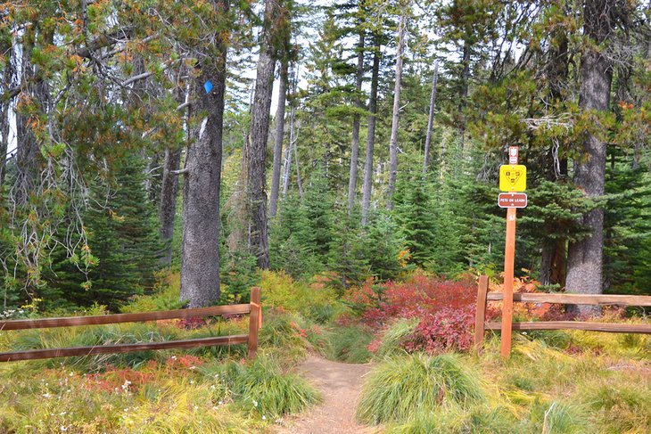 Alternative Kit Carson Loop trailhead