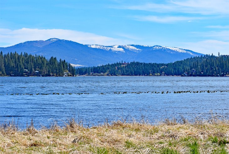 Newman Lake, seen from McKenzie Conservation Area