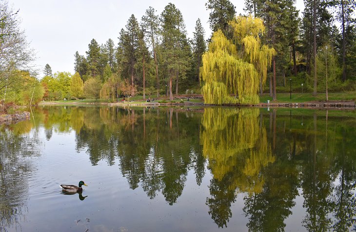 Mirror Pond, Manito Park