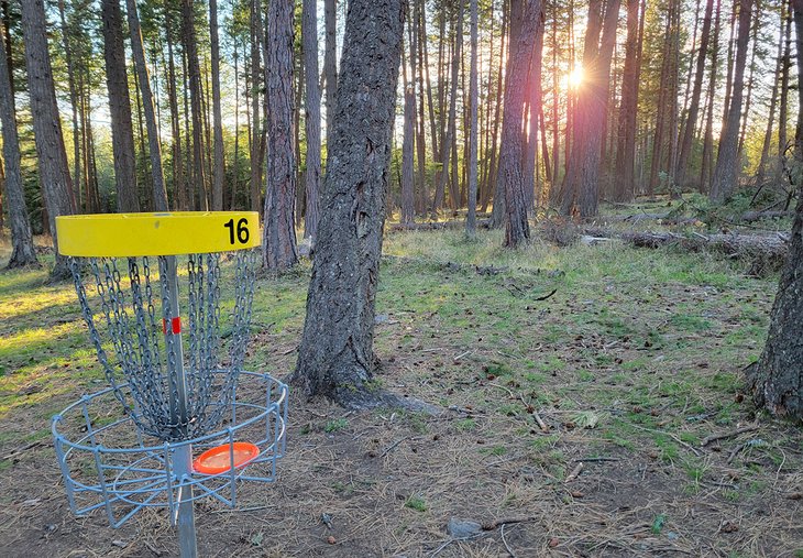 Disc golf hole at Farragut State Park