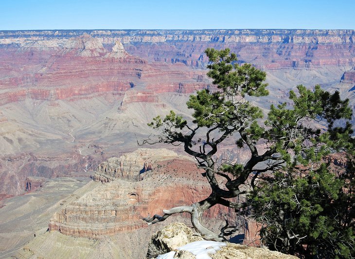 A patch of snow at the Grand Canyon