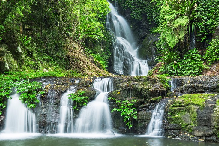 Waterfalls at Lamington National Park