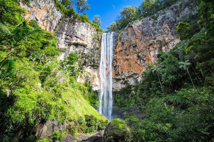 Purling Brook Falls in Springbrook National Park