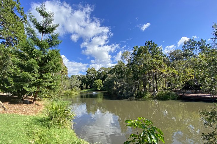 Hervey Bay Botanical Gardens