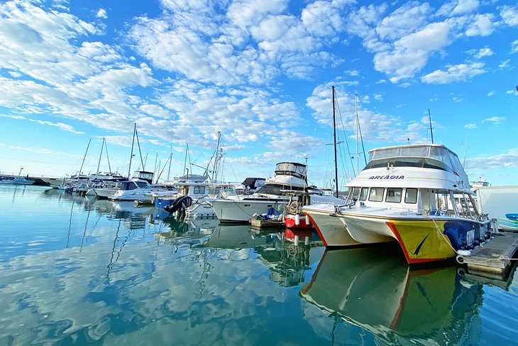 Hervey Bay whale watching trips depart from Great Sandy Straits Marina.