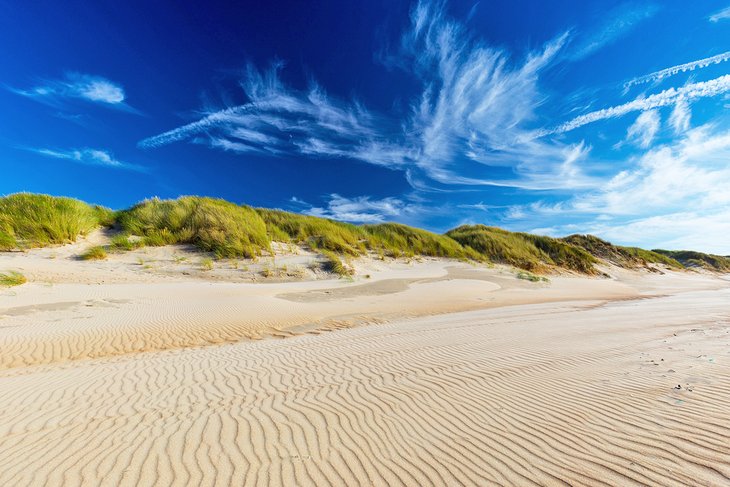 Dunes along De Haan Beach