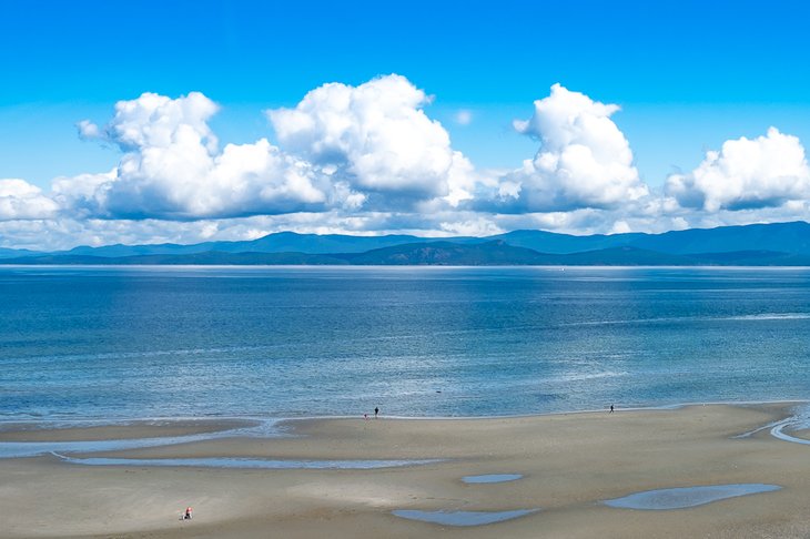 Welcome to the beach at Parksville Bay.