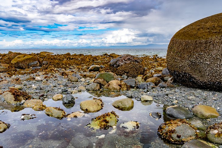 Tide pools at Qualicum Beach