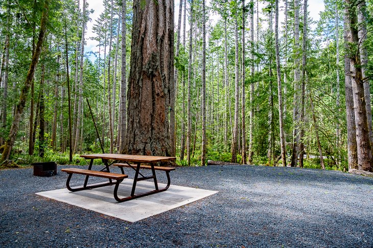 10 mejores campings en Parksville, BC