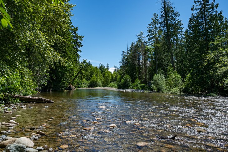 Riverbend RV Park on Englishman River