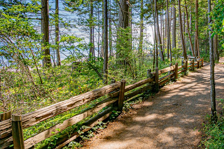 Rathtrevor Beach Loop Trail