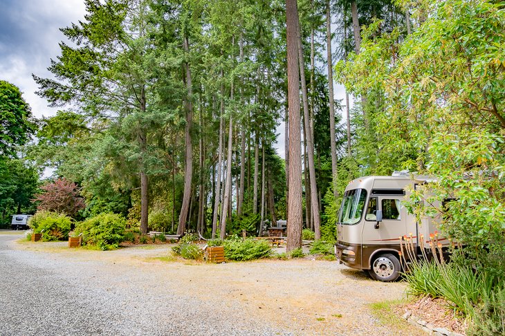 RV site at Mowhinna Campground