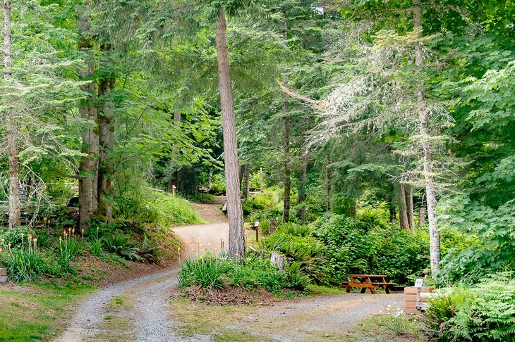 Mowhinna Creek Campground