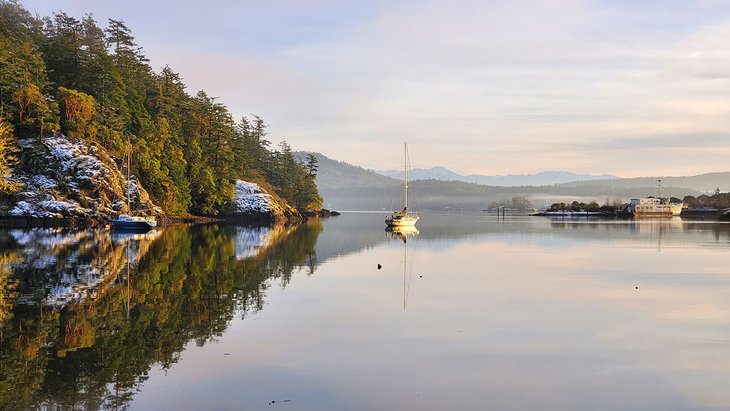 12 Top-Rated Things to Do in Sooke, BC | PlanetWare