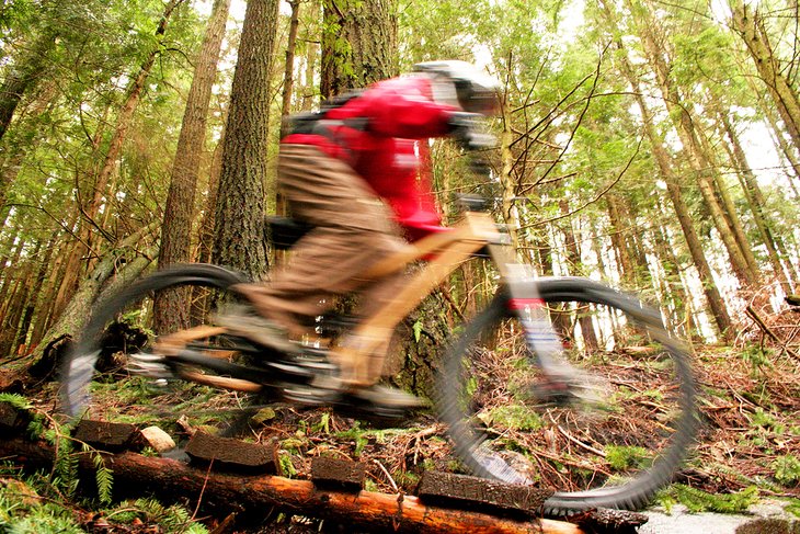 Mountain biker on a wooded trail