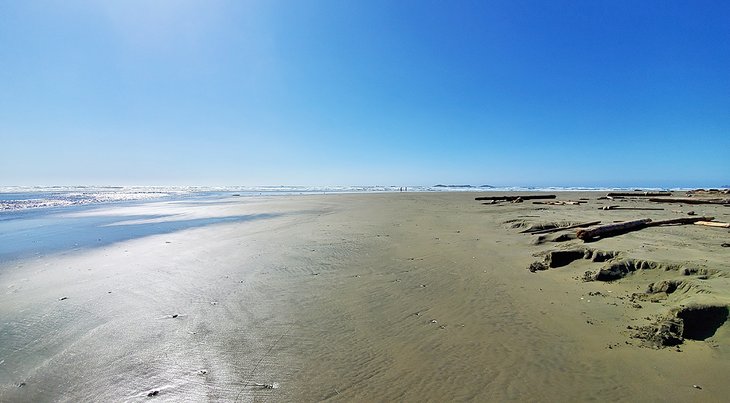 8 playas mejor valoradas en Tofino