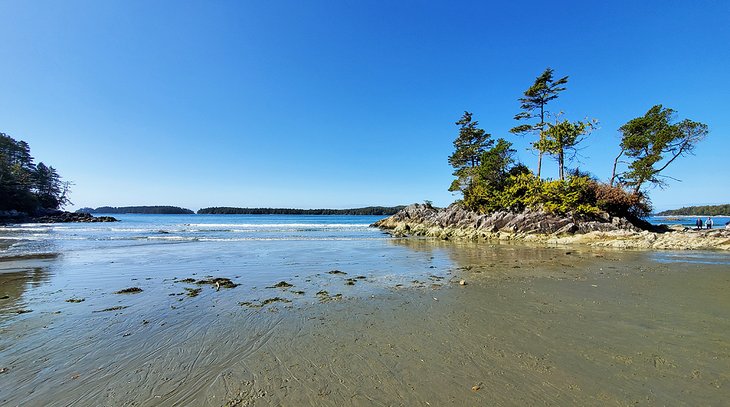 8 playas mejor valoradas en Tofino