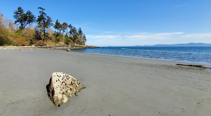 The beach at Arbutus Cove