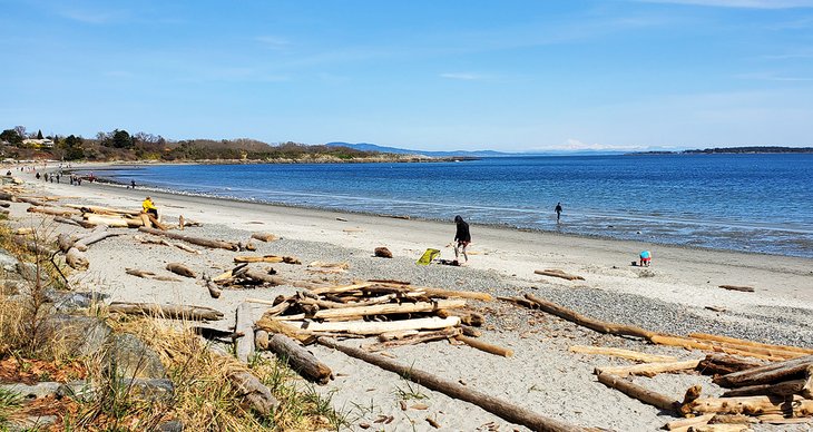 Willows Beach in winter