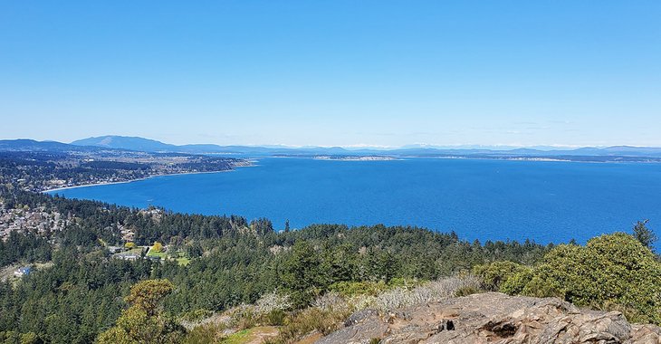 View out to sea from Mount Doug