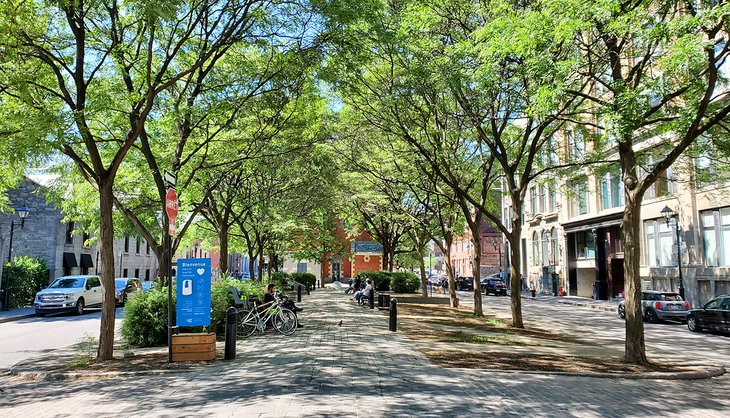 Place d'Youville in summer
