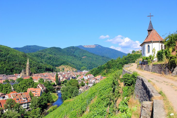 Path to the village of Thann in the Alsace