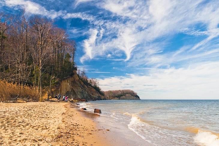 Calvert Cliffs State Park