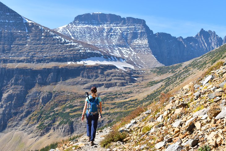 The trail to Piegan Pass, Glacier National Park