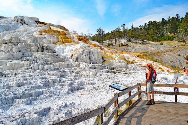 Travertine Terraces in Mammoth Hot Springs, Yellowstone National Park