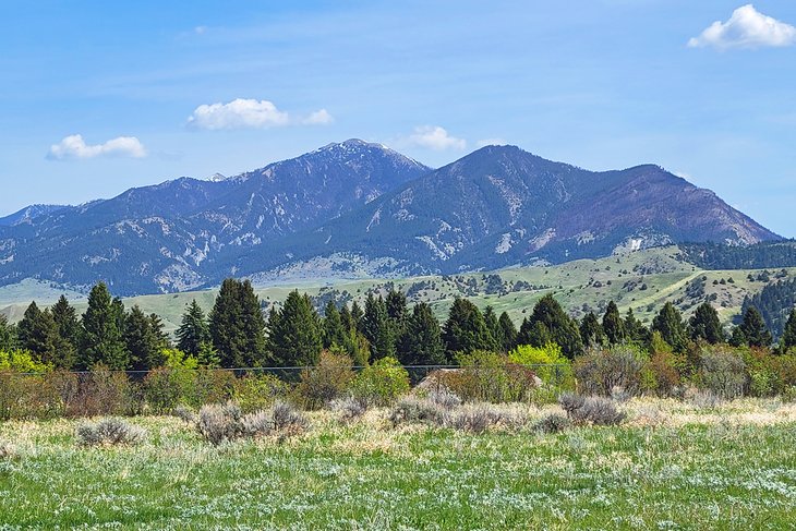 Mountain view from Burke Park