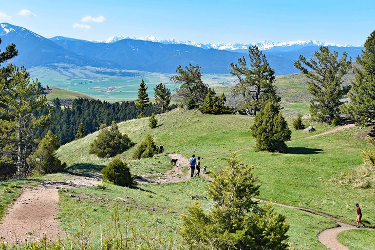 Drinking Horse Mountain with snowcapped peak in the distance