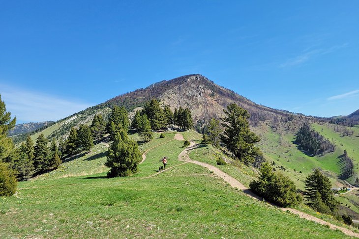 Drinking Horse Mountain