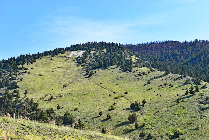 The "M" on Bridger Canyon