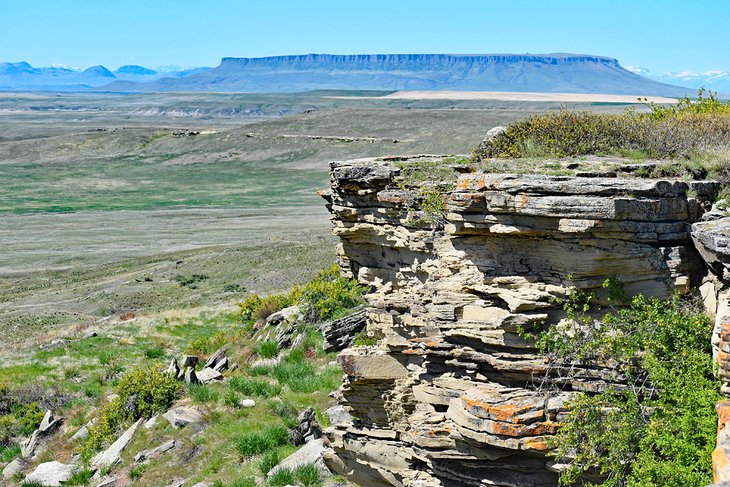 View from First Peoples Buffalo Jump State Park