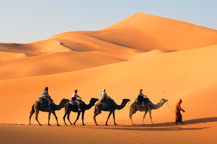 Balade à dos de chameau dans le désert du Sahara au Maroc